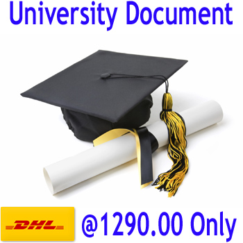 best international courier for united states best international courier for united states
